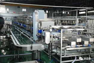 中欧豆制品行业技术交流会议召开 探索合作共赢新路径