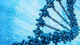 仪器信息网食品安全技术交流会暨技术转让合作论坛